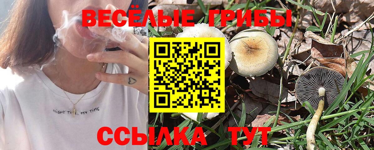 Псилоцибиновые грибы Magic Shrooms  Галлюциногенные грибы Magic Shrooms  Вход с VPN  Гагарин 