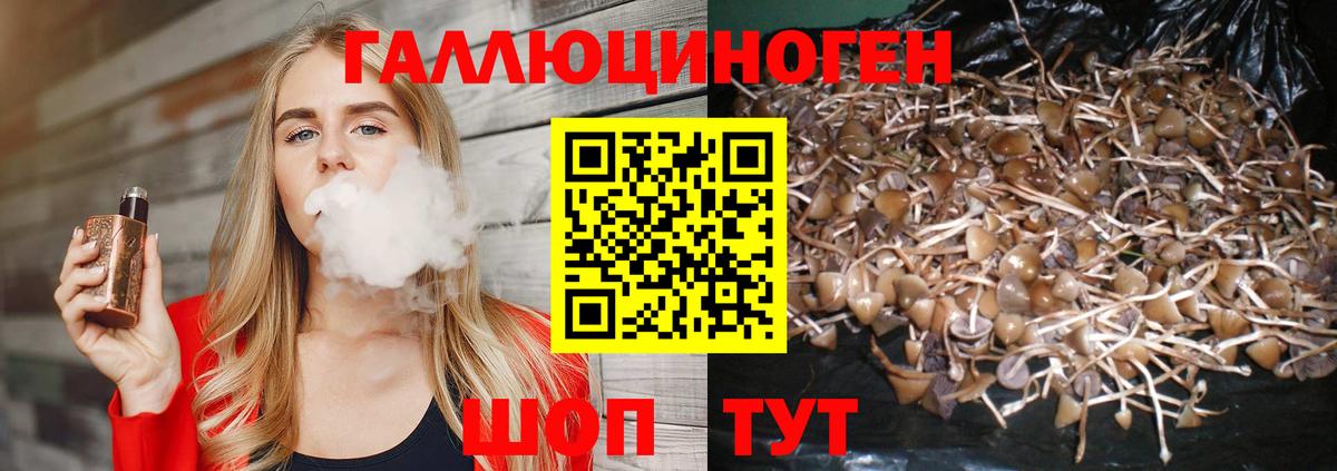 Псилоцибиновые грибы Psilocybe Гагарин
