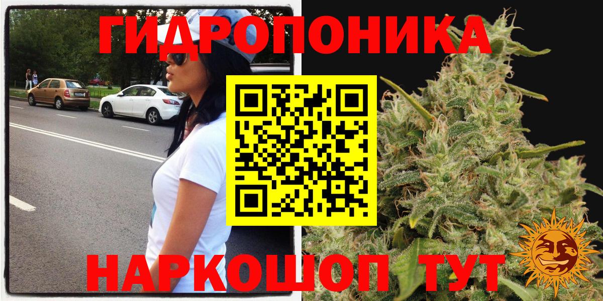 Шишки марихуана планчик  МАРИХУАНА White Widow  Вход с VPN  Бошки Шишки Ganja  Гагарин  Шишки марихуана индика 